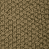 Oliva