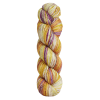 3029