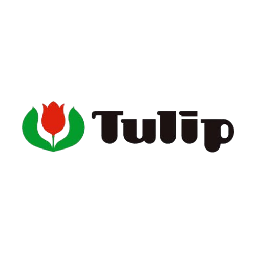 tulip